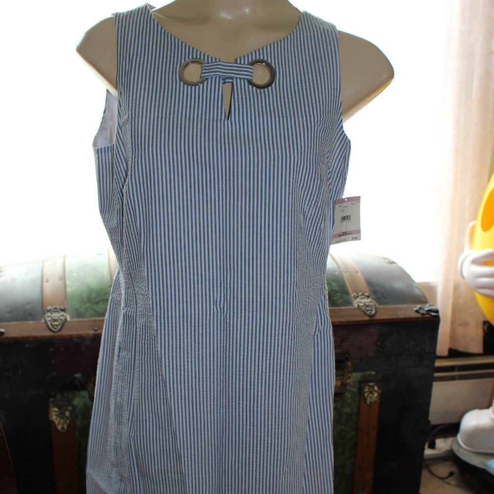 NWT Anne Klein Blue & White Pinstripe Dress  Pretty Summer Size 10